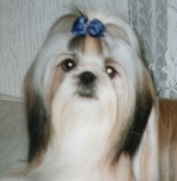 Das Gesicht von Only for Win Bohemia Acro